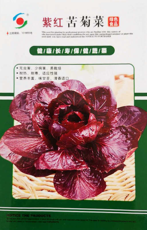 Purplish Red Kujucai——Purplish Red Healthy Vegetable Purplish Red Kujucai——Purplish Red Healthy Vegetable